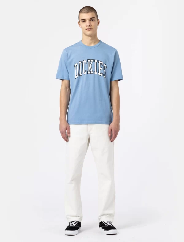 DICKIES - מכנסי נגרים DUCK CANVAS CARPENTER – D0A4XIFC43 – sw-cloud – 2