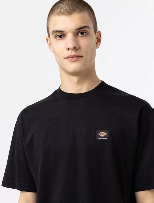 DICKIES - חולצת טי קצרה MOUNT VISTA – D0A4XOUBLK – black – 3
