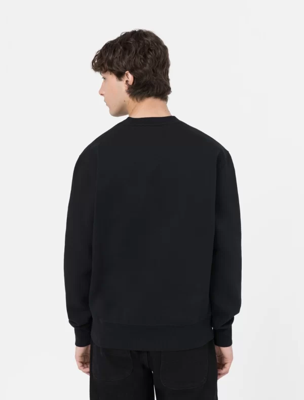 DICKIES - סווטשירט SUMMERDALE – D0A4Y6QBLK – black – 1