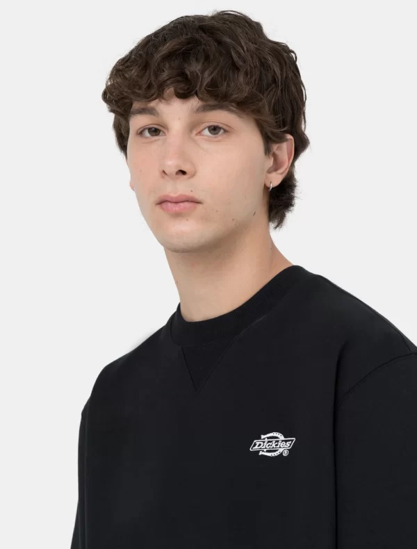 DICKIES - סווטשירט SUMMERDALE – D0A4Y6QBLK – black – 3