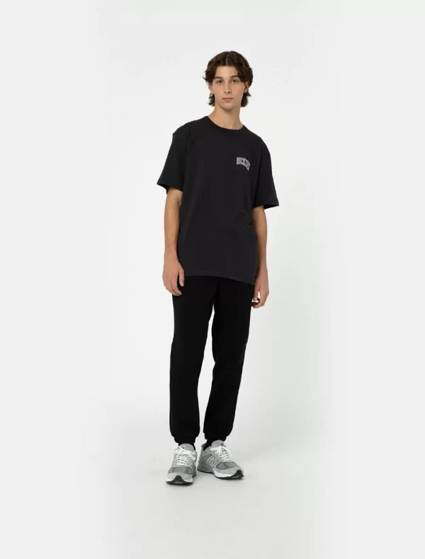DICKIES - מכנסי טרנינג MAPLETON – D0A4XIMBLK – black – 3