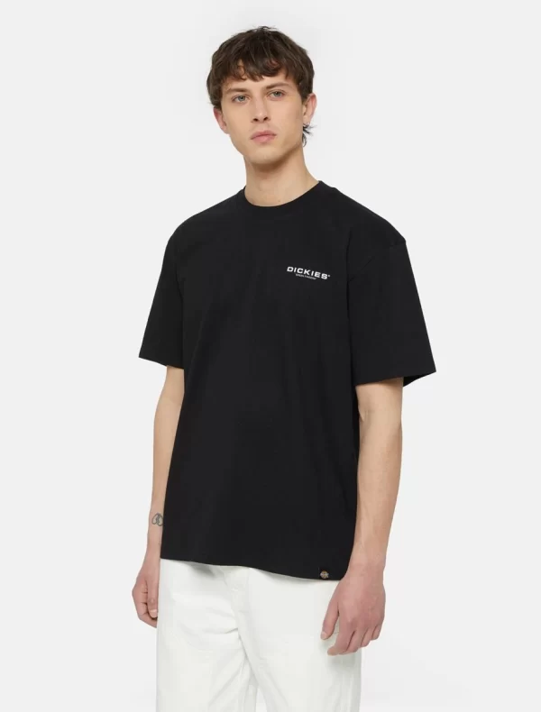 DICKIES - חולצת טי קצרה WAKEFIELD לגברים – D0A4YRCBLK – black – 1