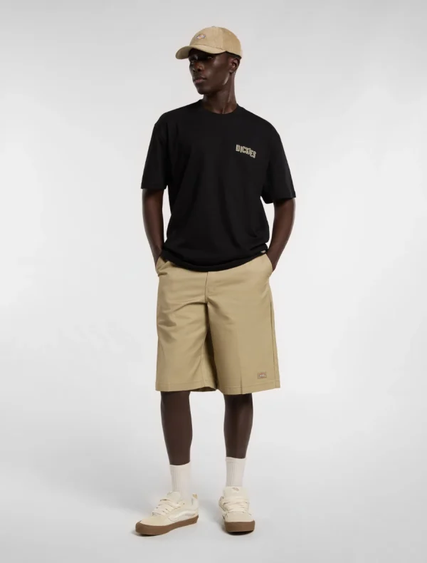 DICKIES - BRICKLANE   חולצת טי קצרה – D0A4Z8RBLK – black – 2