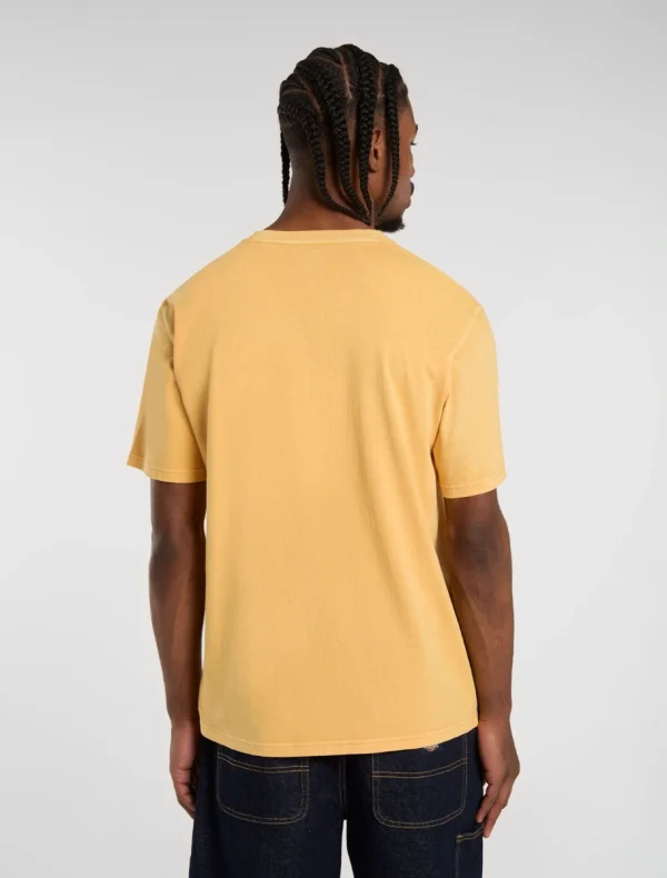 DICKIES - חולצת טי קצרה DICKIES ROPE CHEST LOGO – D0A4Z8WK41 – brown – 1