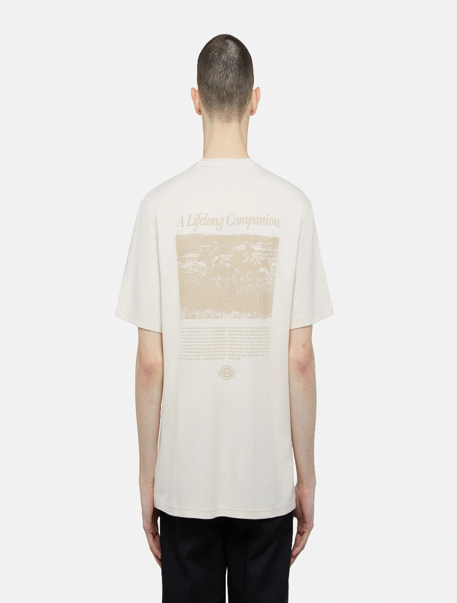 DICKIES - חולצת טי קצרה COMPANION SCRIPT – D0A4Z92F90 – whitecap-grey – 1