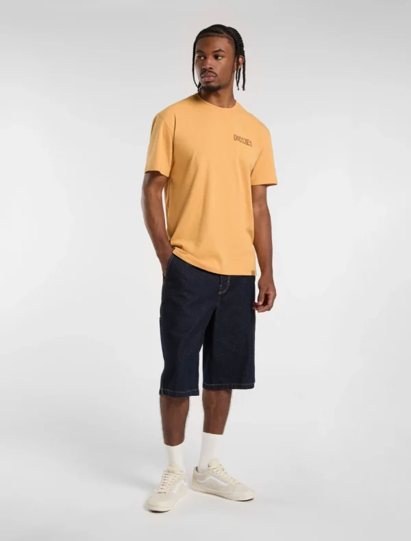DICKIES - חולצת טי קצרה COMPANION – D0A4Z98K41 – oak-buff – 2