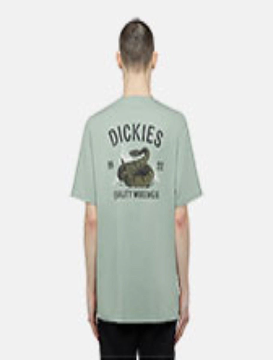 DICKIES - חולצת טי קצרה DICKIES SNAKE – D0A4Z99K36 – light-blue – 1