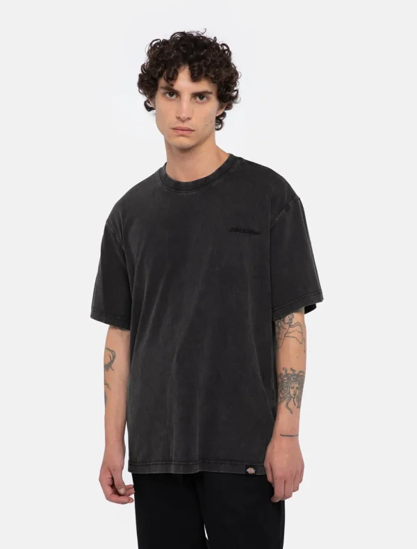 DICKIES - PLENTYWOOD  חולצת טי קצרה – D0A866BH86 – black – 1