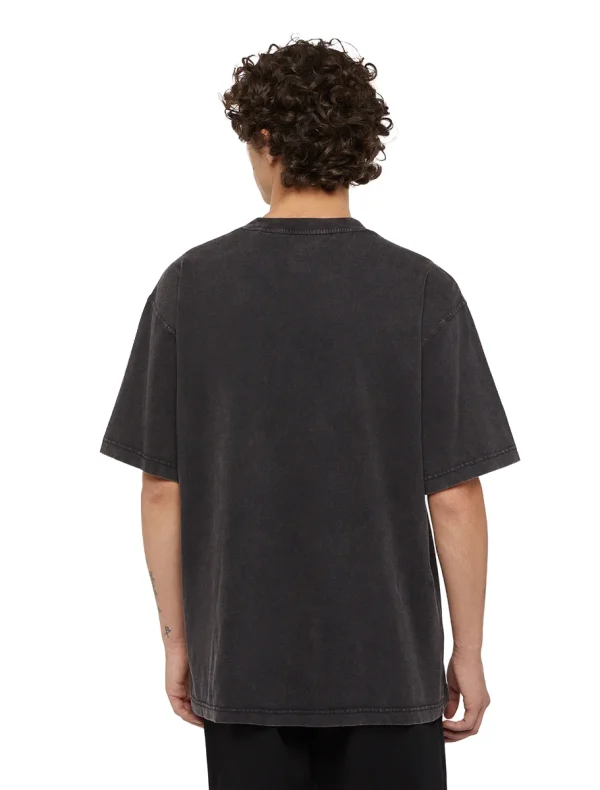 DICKIES - PLENTYWOOD  חולצת טי קצרה – D0A866BH86 – black – 3