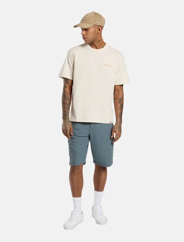 DICKIES - מכנסיים קצרים DUCK CANVAS – D0A4XNGG70 – stormy-weather – 2