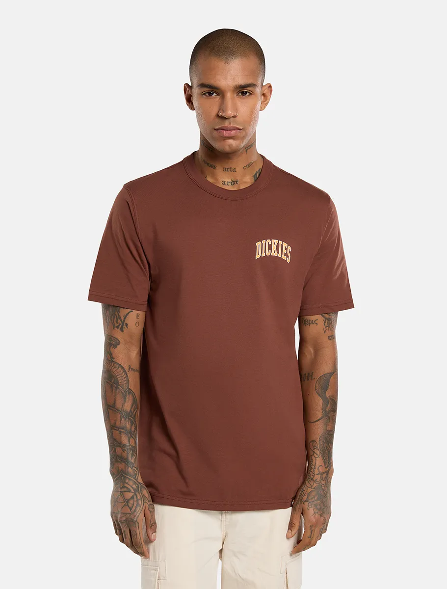 DICKIES - חולצת טי קצרה AITKIN CHEST – D0A4Y8OK47 – brown – 1