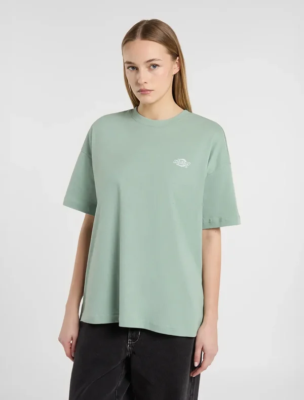 DICKIES - חולצת טי קצרה SUMMERDALE – D0A4Y1BK36 – light-blue – 1