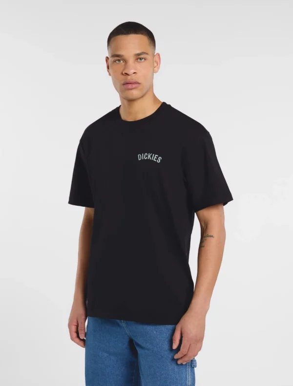 DICKIES - חולצת טי קצרה DICKIES SNAKE – D0A4Z99BLK – black – 1