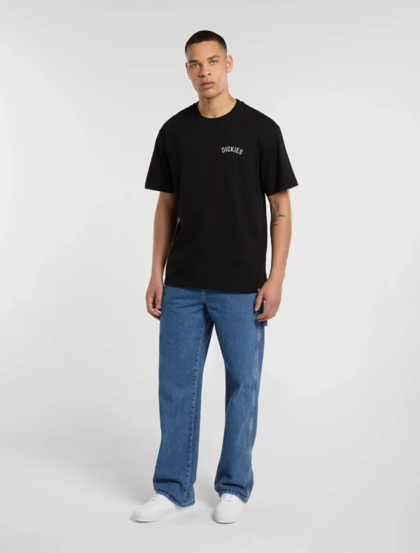 DICKIES - חולצת טי קצרה DICKIES SNAKE – D0A4Z99BLK – black – 2