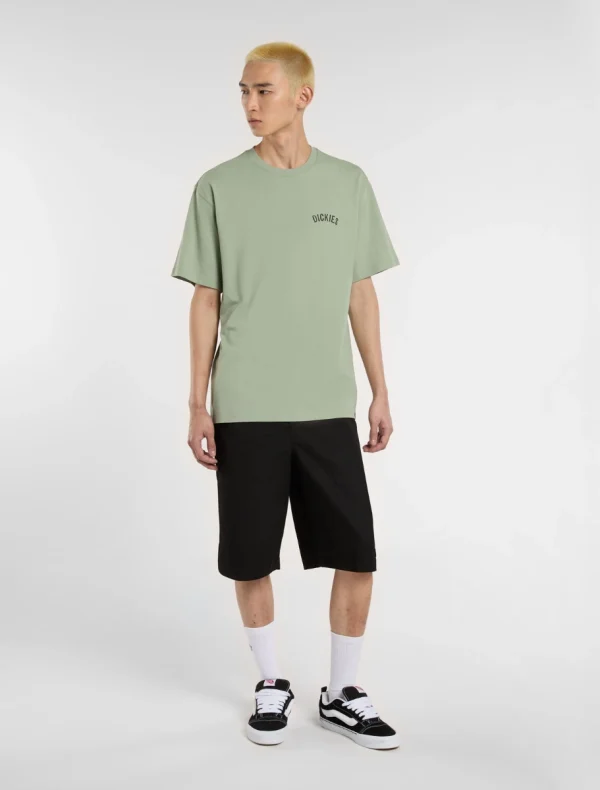 DICKIES - חולצת טי קצרה DICKIES SNAKE – D0A4Z99K36 – light-blue – 2