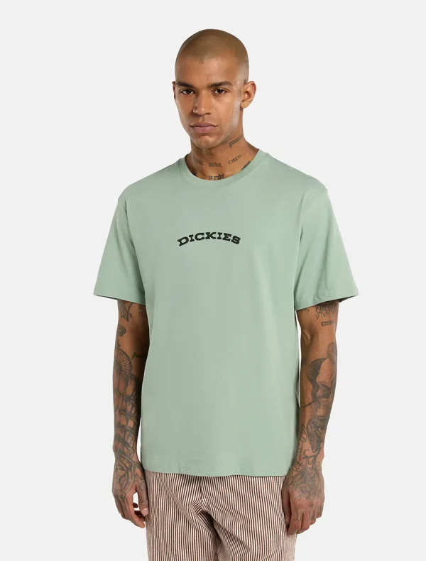 DICKIES - חולצת טי קצרה DICKIES OUTDOOR – D0A4Z8PK36 – light-blue – 1