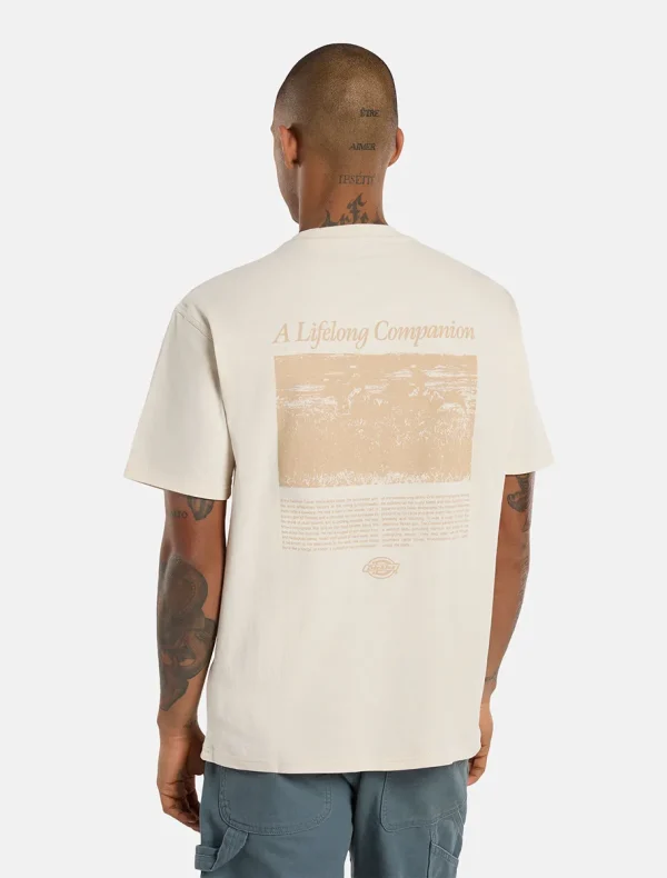 DICKIES - חולצת טי קצרה COMPANION SCRIPT – D0A4Z92F90 – whitecap-grey – 1