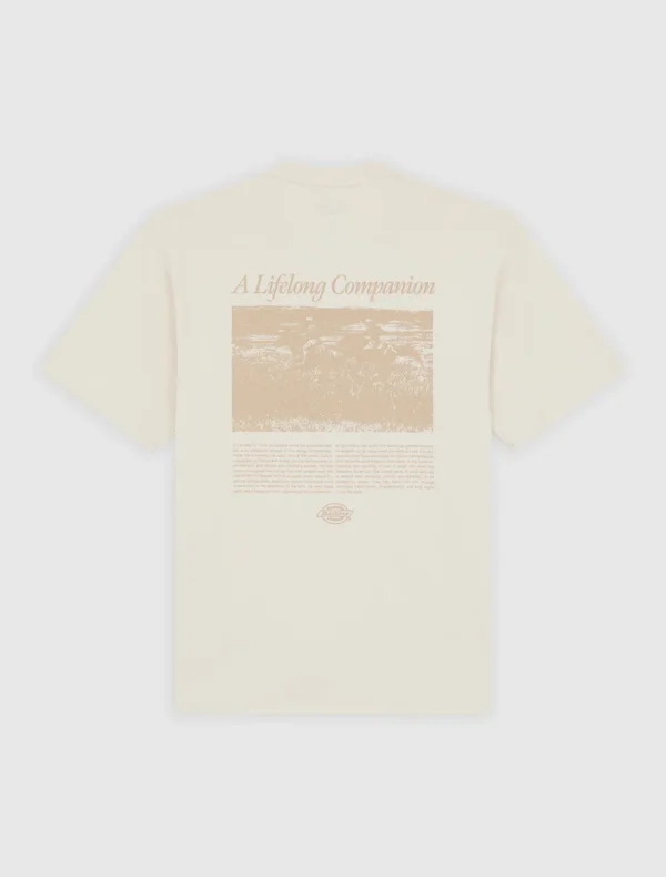 DICKIES - חולצת טי קצרה COMPANION SCRIPT – D0A4Z92F90 – whitecap-grey – 3