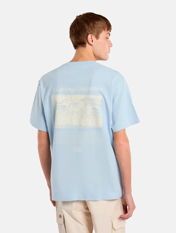 DICKIES - חולצת טי קצרה COMPANION SCRIPT – D0A4Z92K54 – light-blue – 1