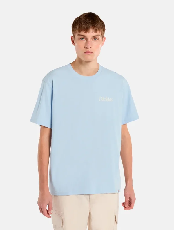 DICKIES - חולצת טי קצרה COMPANION SCRIPT – D0A4Z92K54 – light-blue – 1