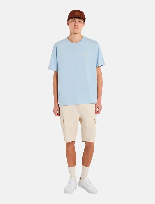 DICKIES - חולצת טי קצרה COMPANION SCRIPT – D0A4Z92K54 – light-blue – 2
