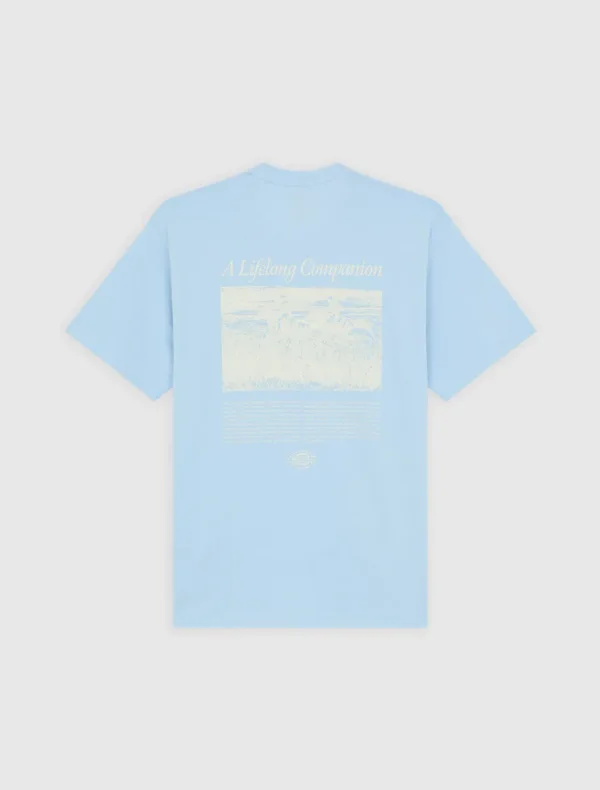DICKIES - חולצת טי קצרה COMPANION SCRIPT – D0A4Z92K54 – light-blue – 3