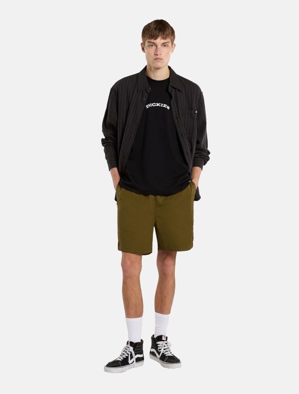 DICKIES - מכנסיים קצרים PELICAN RAPIDS – D0A4XB2DKO – dark-olive – 1