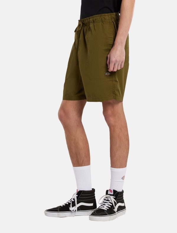 DICKIES - מכנסיים קצרים PELICAN RAPIDS – D0A4XB2DKO – dark-olive – 2