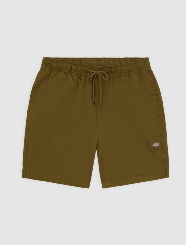 DICKIES - מכנסיים קצרים PELICAN RAPIDS – D0A4XB2DKO – dark-olive – 3