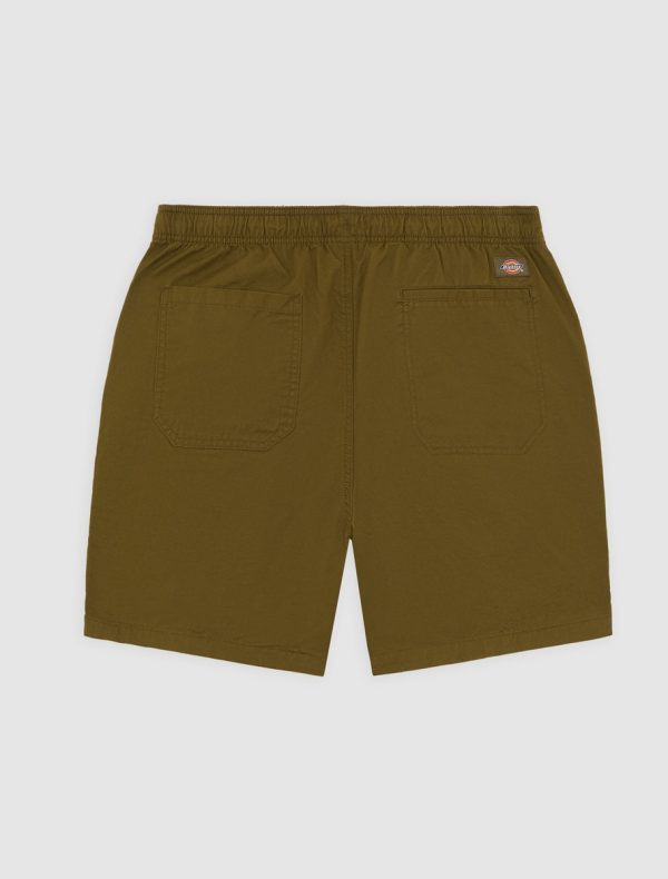 DICKIES - מכנסיים קצרים PELICAN RAPIDS – D0A4XB2DKO – dark-olive – 4