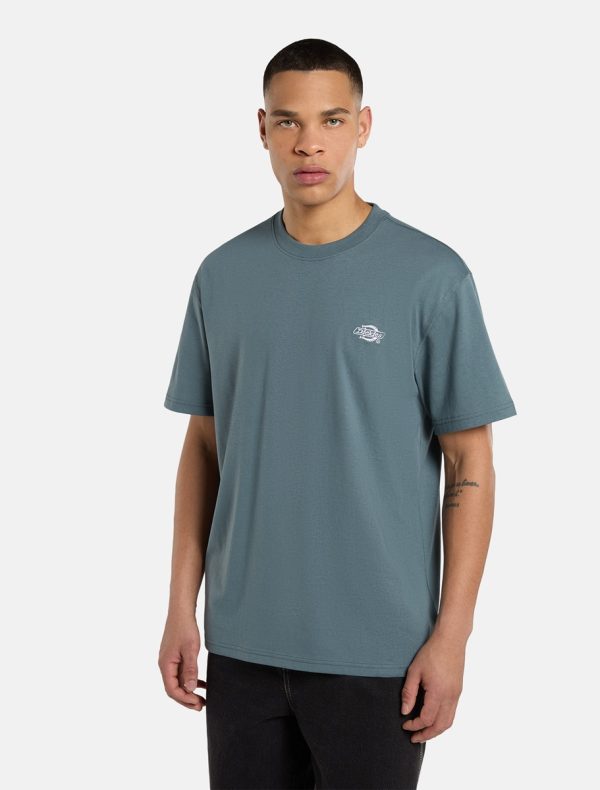 DICKIES - חולצת טי קצרה SUMMERDALE – D0A4YAIG70 – stormy-weather – 1