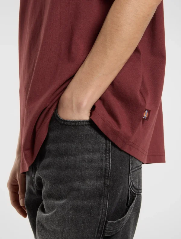 DICKIES - חולצת טי קצרה SUMMERDALE – D0A4Y1BL16 – andorra – 4