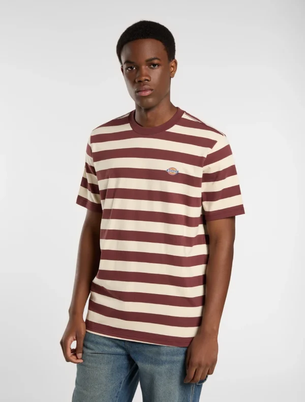 DICKIES - חולצת טי קצרה RIVERGROVE – D0A4Y8YL16 – andorra – 1