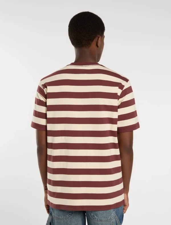 DICKIES - חולצת טי קצרה RIVERGROVE – D0A4Y8YL16 – andorra – 1