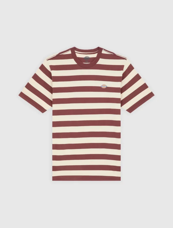 DICKIES - חולצת טי קצרה RIVERGROVE – D0A4Y8YL16 – andorra – 5