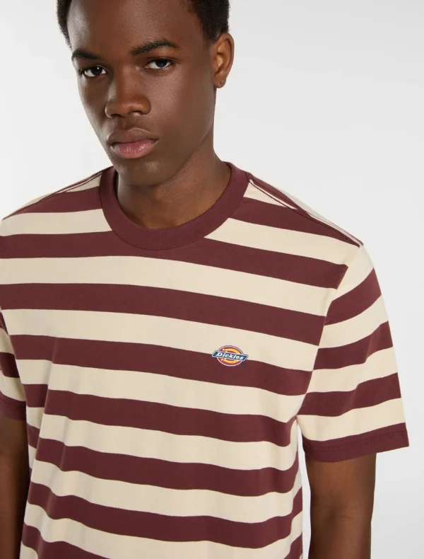 DICKIES - חולצת טי קצרה RIVERGROVE – D0A4Y8YL16 – andorra – 3