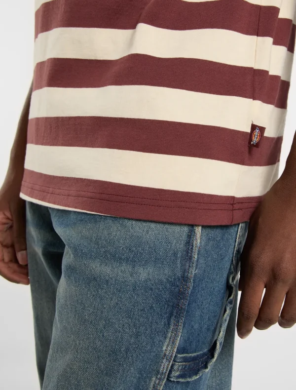 DICKIES - חולצת טי קצרה RIVERGROVE – D0A4Y8YL16 – andorra – 4
