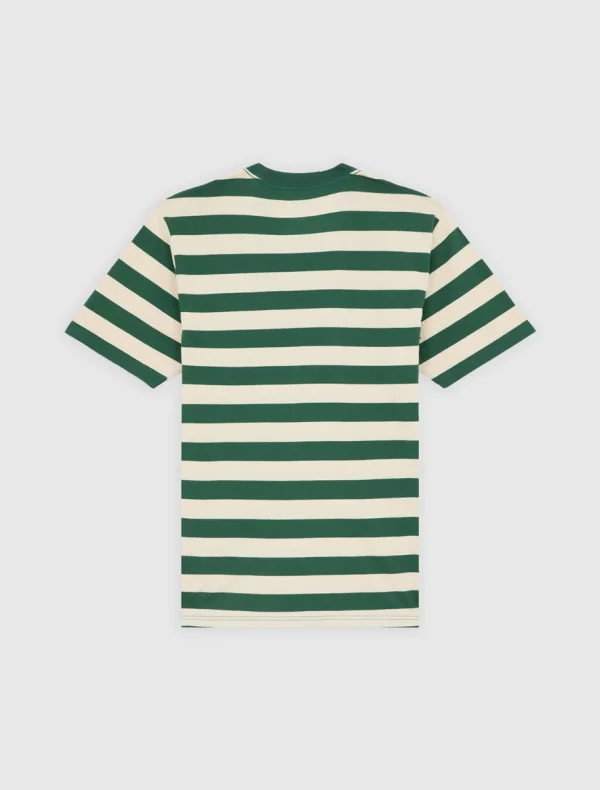 DICKIES - חולצת טי קצרה RIVERGROVE – D0A4Y8YPIN – pine-needle-green – 6