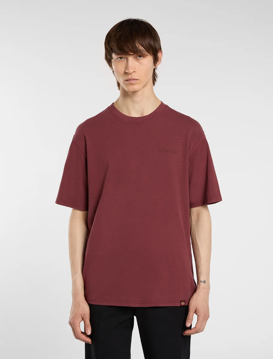 DICKIES - חולצת טי קצרה PLENTYWOOD – D0A866BL16 – andorra – 1