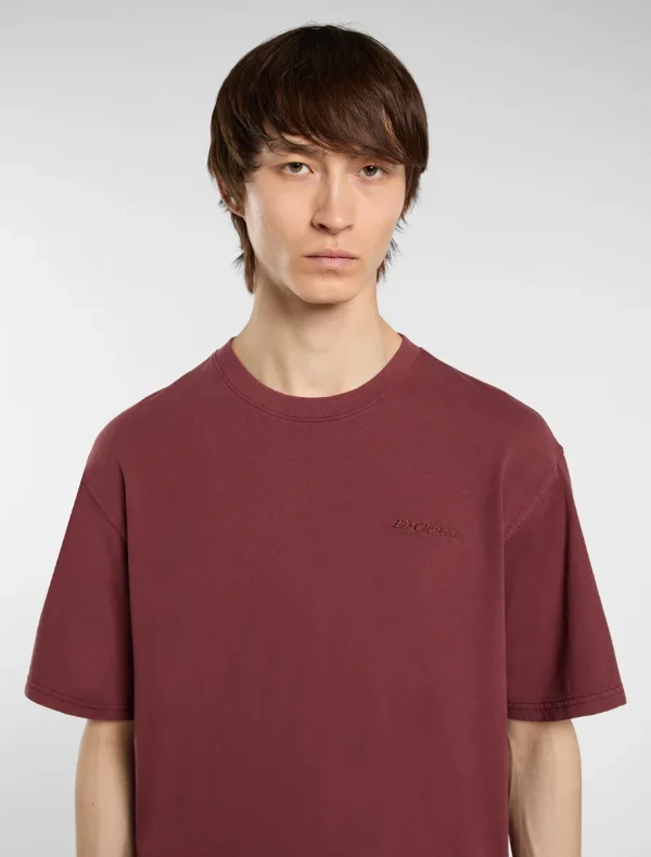 DICKIES - חולצת טי קצרה PLENTYWOOD – D0A866BL16 – andorra – 3
