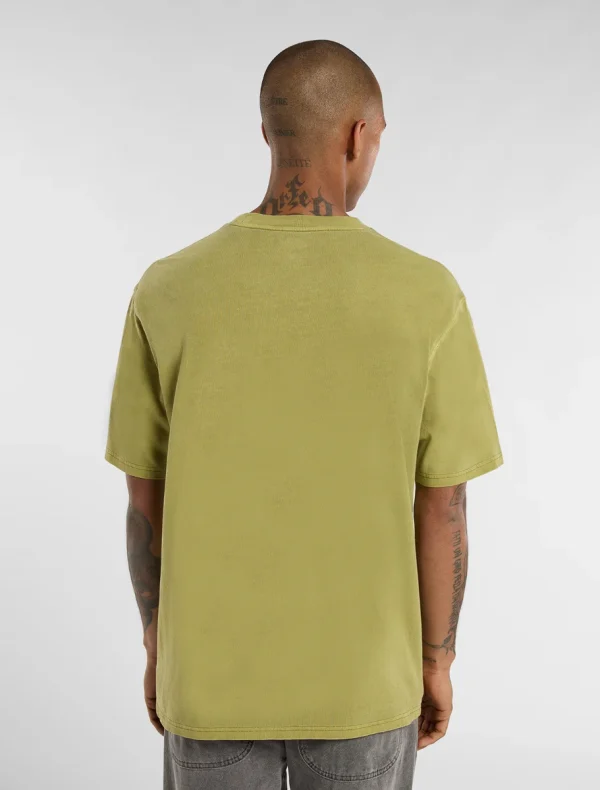 DICKIES - חולצת טי קצרה PLENTYWOOD – D0A866BL20 – evergreen-sprig – 1