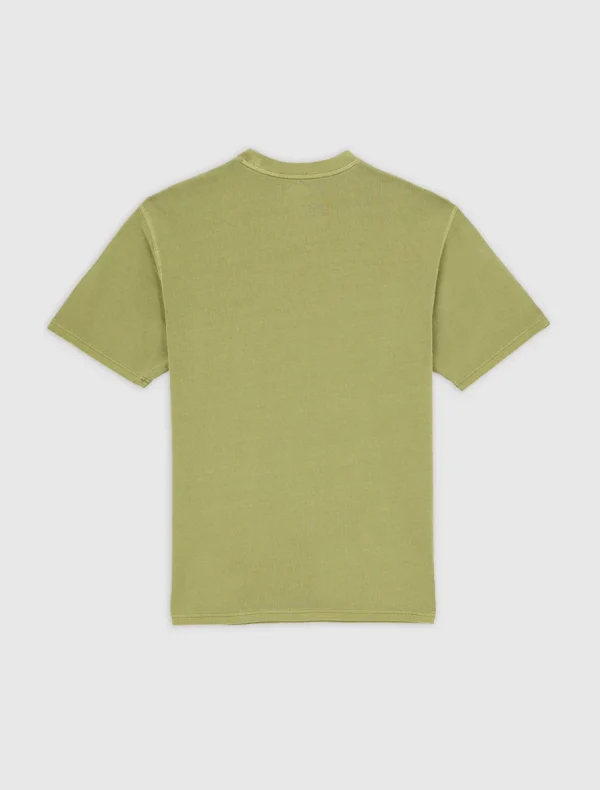 DICKIES - חולצת טי קצרה PLENTYWOOD – D0A866BL20 – evergreen-sprig – 6
