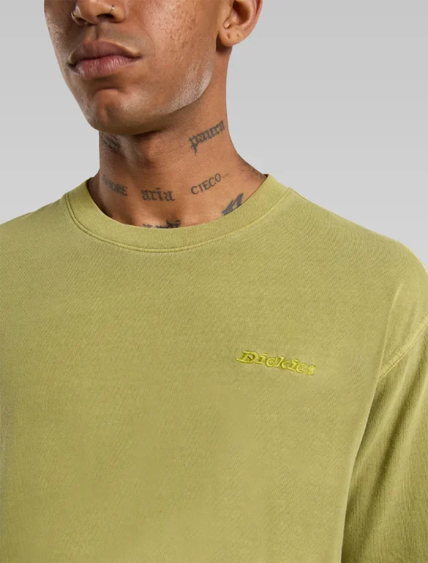 DICKIES - חולצת טי קצרה PLENTYWOOD – D0A866BL20 – evergreen-sprig – 3