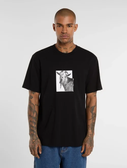 חולצת טי קצרה MIKE ANDERSON