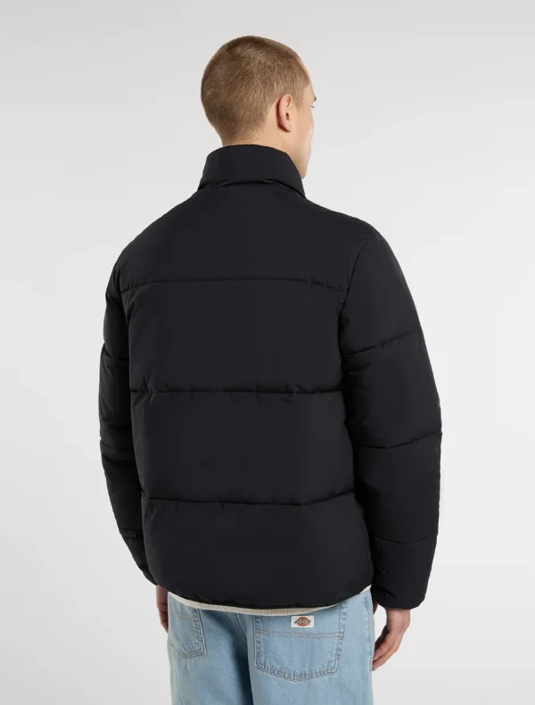 DICKIES - מעיל פאפר SUMMERDALE – D0A87OGBLK – black – 1