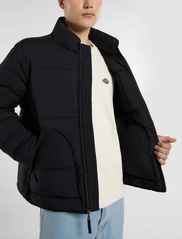 DICKIES - מעיל פאפר SUMMERDALE – D0A87OGBLK – black – 5
