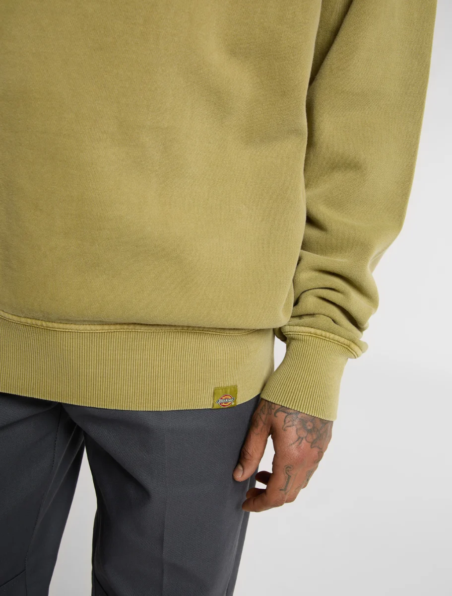 DICKIES - סווטשירט PLENTYWOOD – D0A864HL20 – evergreen-sprig – 4