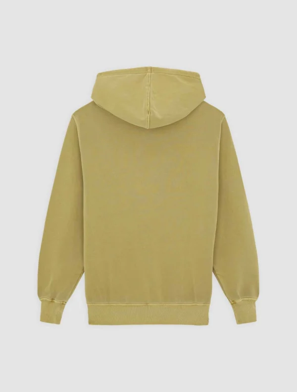 DICKIES - קפוצ'ון PLENTYWOOD – D0A866DL20 – evergreen-sprig – 6
