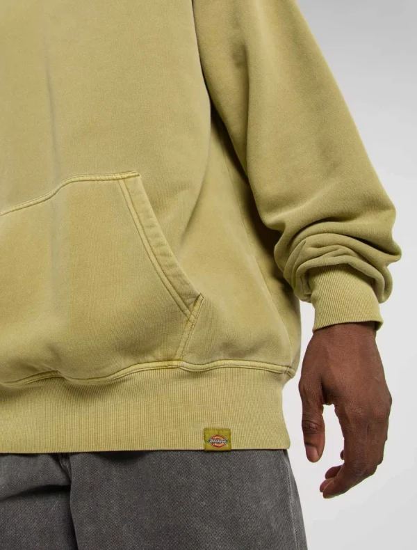 DICKIES - קפוצ'ון PLENTYWOOD – D0A866DL20 – evergreen-sprig – 4