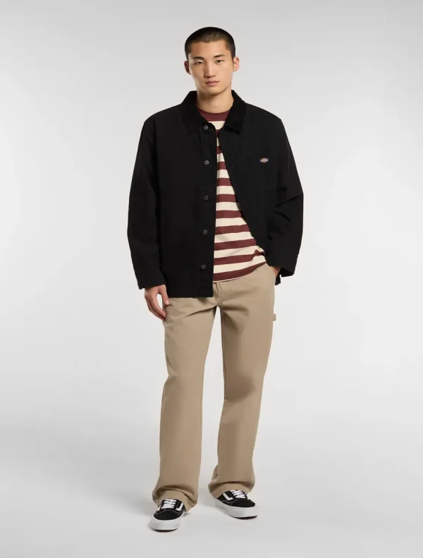 DICKIES - מכנסי נגרים CARPENTER CANVAS – D0A87PD0DS – desert-sand – 2